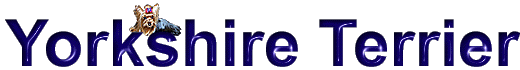 ytmarrescue1.gif (9433 bytes)